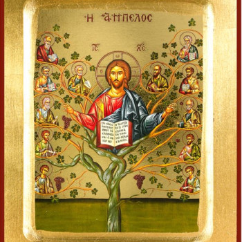 H Άμπελος του Κυρίου