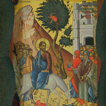 Η Βαϊοφόρος