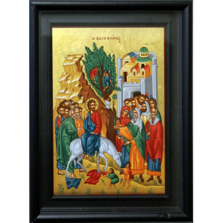 Η Βαϊοφόρος